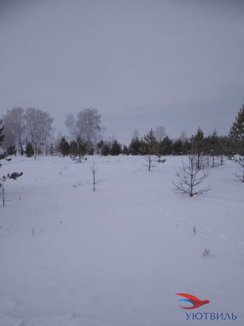 Земельный участок поселок Баженово в Подольске - podolsk.yutvil.ru - фото 2 Земельный участок поселок Баженово в Подольске - podolsk.yutvil.ru - фото 2
