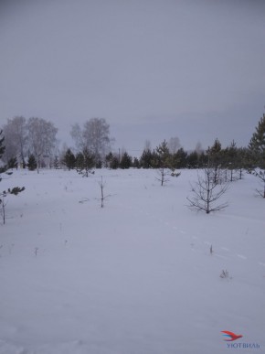 Баженово ул Южная д 7 в Подольске - podolsk.yutvil.ru - фото 2 Баженово ул Южная д 7 в Подольске - podolsk.yutvil.ru - фото 2
