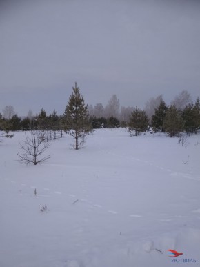 Баженово ул Южная д 7 в Подольске - podolsk.yutvil.ru - фото 5