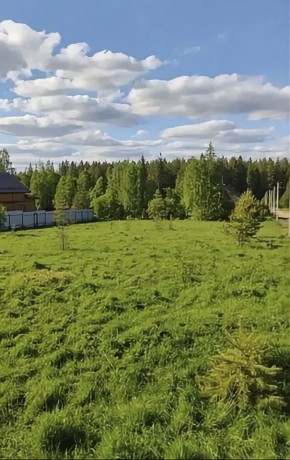 ДП Родной в Подольске - podolsk.yutvil.ru - фото 3 ДП Родной в Подольске - podolsk.yutvil.ru - фото 3