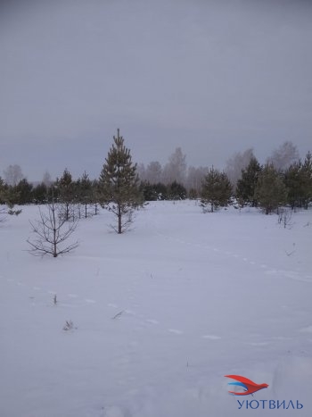 Земельный участок поселок Баженово в Подольске - podolsk.yutvil.ru - фото 5