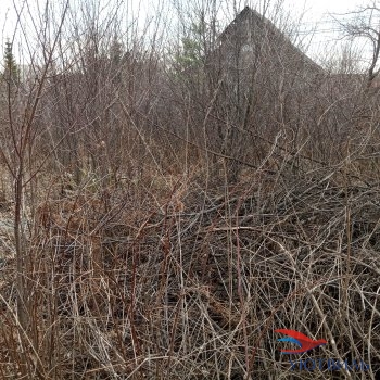 садовый участок в Дуброво-1 в Подольске - podolsk.yutvil.ru - фото 3 садовый участок в Дуброво-1 в Подольске - podolsk.yutvil.ru - фото 3