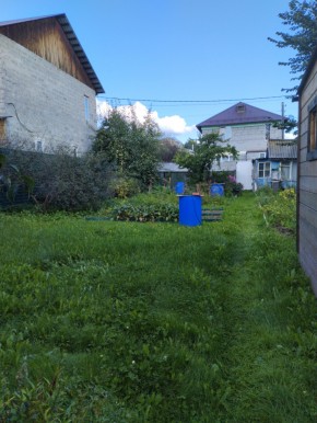 Коллективный сад номер 7, участок 58 в Подольске - podolsk.yutvil.ru - фото 26 Коллективный сад номер 7, участок 58 в Подольске - podolsk.yutvil.ru - фото 26