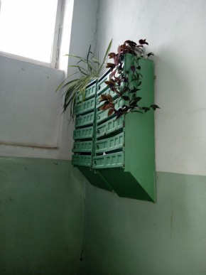 ул. Бажова,11 в Подольске - podolsk.yutvil.ru - фото 3 ул. Бажова,11 в Подольске - podolsk.yutvil.ru - фото 3