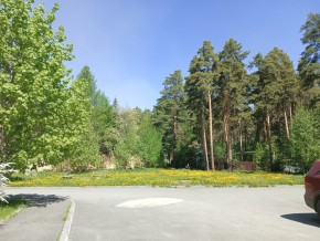 ул. Сосновая, 8 в Подольске - podolsk.yutvil.ru - фото 26 ул. Сосновая, 8 в Подольске - podolsk.yutvil.ru - фото 26
