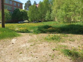 ул. Сосновая, 8 в Подольске - podolsk.yutvil.ru - фото 33 ул. Сосновая, 8 в Подольске - podolsk.yutvil.ru - фото 33