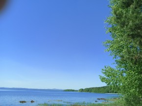 ул. Сосновая, 8 в Подольске - podolsk.yutvil.ru - фото 34 ул. Сосновая, 8 в Подольске - podolsk.yutvil.ru - фото 34